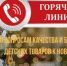 Горячая линия по качеству и безопасности детских товаров, выбору новогодних подарков - Новосокольнический район